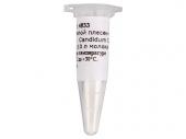 4833
